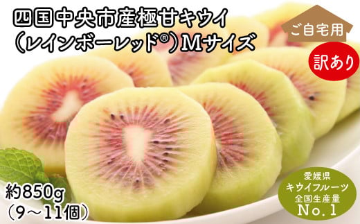 <10月下旬以降発送>【ぽぽ農園】【訳あり・ご自宅用】レインボーレッドキウイ(四国中央市産レインボーレッド) M サイズ 約850g(9個~11個)