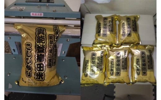 【復興支援】【令和7年産】奥能登柳田米B５（定期便）３kg×５ 合計15kg