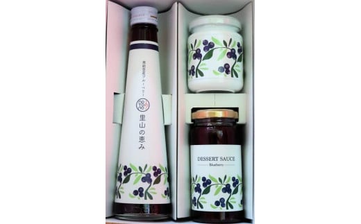 【復興支援】notono 里山ブルーベリーセット（ジャム・デザートソース・里山の恵み）
