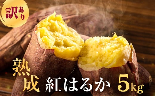 先行予約 訳あり さつまいも 5kg  サイズ無選別 紅はるか 田原市 渥美半島