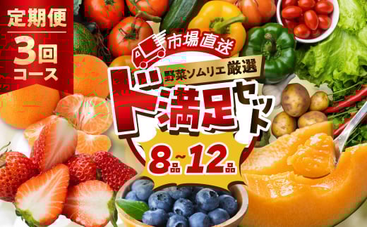 【定期便】 旬の野菜 フルーツ 詰め合わせ ～ 12品 3回 セット 旬 野菜ソムリエ 厳選 野菜セット フルーツ メロン いちご トマト アスパラガス トウモロコシ 玉ねぎ 国産 人気 ランキング やさい 野菜 果物 田原市 定番 8品目 12品目 頒布会