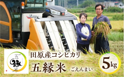【11月お届け】五縁米 5kg お米 こしひかり ごはん 白米 コシヒカリ 愛知県 田原市 産地直送