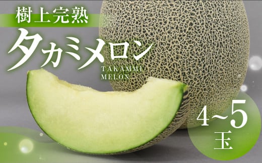 【先行予約】渥美半島産 青木さんちのタカミメロン 樹上完熟 4玉~5玉 約5kg メロン タカミメロン 青肉メロン 完熟 フルーツ 果物 デザート 農家直送 送料無料 熟成