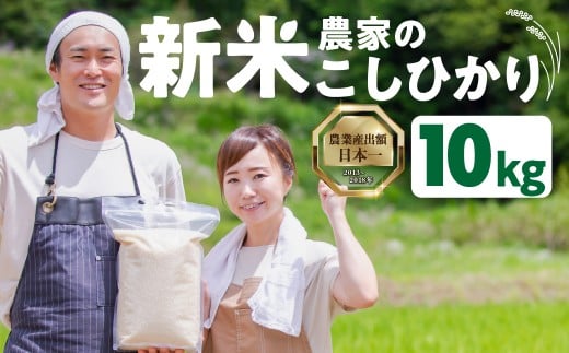 新米農家のこしひかり 5kg 10kg 選べる お米 おこめ 米 コメ ごはん コシヒカリ ご飯 ブランド米 精米 令和7年 6か月 令和6年産 売り切れ 米 備蓄米 よりおいしい 愛知県 田原市 渥美半島 人気 先行予約 令和7年産 25000円 KASUKEN
