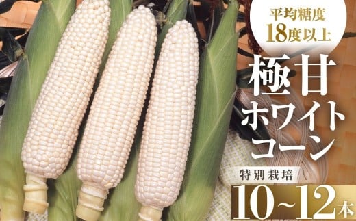 【先行予約】渥美半島産　青木さんちのとうもろこし　ホワイトコーン 10本～12本 約4kg とうもろこし デザート 農家直送 送料無料 朝採れ コーン 野菜 キャンプ BBQ バーベキュー おやつ 田原市 渥美半島 愛知県 夏 旬
