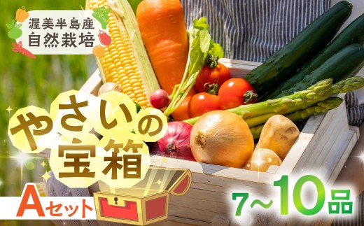 【Aセット】渥美半島産 やさいの宝箱 選べる 品数 野菜 野菜セット 安心 安全 栽培期間中 農薬 化学肥料 不使用 自然志向 やさい ヤサイ 自然