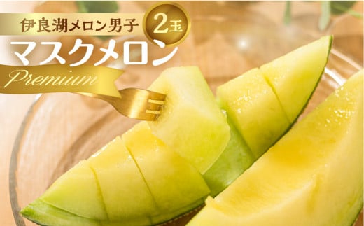 先行予約 伊良湖産 マスクメロン Premium 2玉 2026年6月下旬から8月中旬 順次発送 箱詰め メロン フルーツ 果物 お取り寄せ ギフト 渥美半島 田原市 産地直送 送料無料