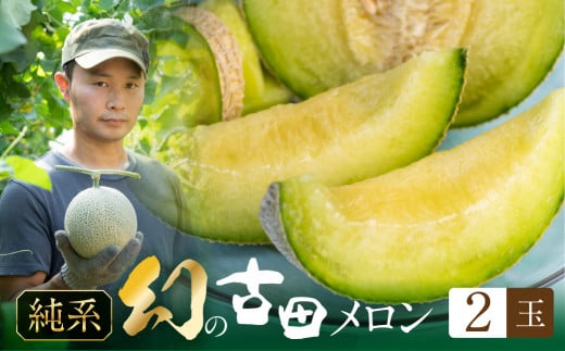 先行予約 渥美半島石井農園・純系古田メロン2玉 【2026年7月発送】 純系 箱詰め メロン フルーツ 果物 お取り寄せ 渥美半島 産地直送 幻 希少品 田原市 送料無料 20,000円