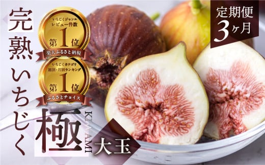 先行予約2026年発送分 完熟 いちじく 9-12玉 ［極］大玉 定期便 3カ月 2026年発送 フルーツ いちじく好きのための定期便  田原市 いちぢく