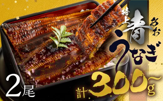 【すぐにお届け/冷凍】厳選 高級 青うなぎ 2尾 蒲焼 300g