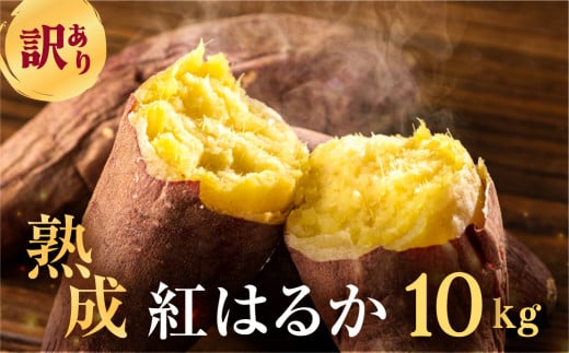先行予約 訳あり さつまいも 10kg  サイズ無選別 紅はるか 田原市 渥美半島