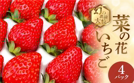先行予約 2026年1月~発送開始 菜の花いちご6~8粒入 4パック 大粒