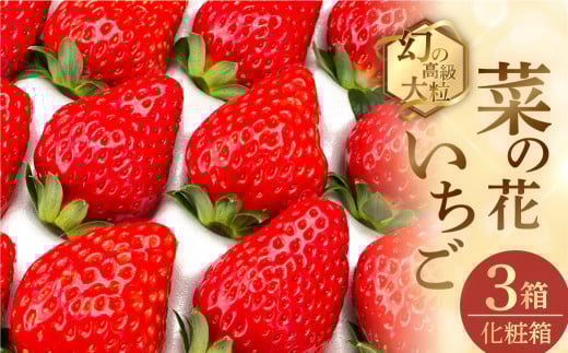 先行予約 2026年1月~発送開始 菜の花いちご 3箱(8粒~12粒入) 大粒