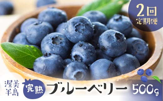 完熟ブルーベリー 500g 2回定期便