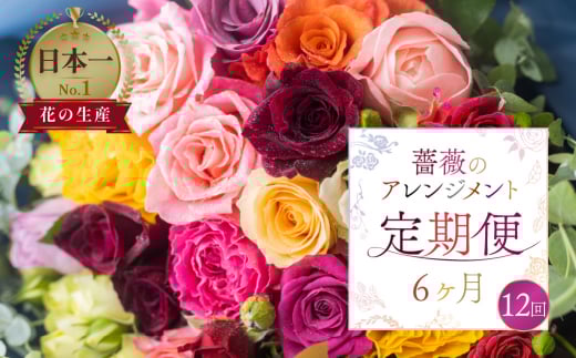 [定期便]薔薇のアレンジメント(バラ20本+ユーカリ) 6ヶ月 12回お届け 隔週 アレンジブーケ バラ 薔薇 花束