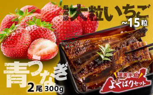 青うなぎ&いちご 渥美半島よくばりセット うなぎ 蒲焼き 鰻 ウナギ うなぎ蒲焼 惣菜 幻 簡単調理 おいしい 高評価 ふるさと納税 魚 さかな 魚介 ランキング 苺 いちご フルーツ 旬 紅ほっぺ べにほっぺ 高糖度 甘い 果物 くだもの 入手困難 期間限定 数量限定 季節限定 ふるさとチョイス キャンペーン おすすめ