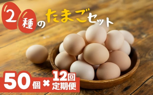 希少な2種のたまごセット 50個 12ヶ月定期便 割れ保証付き 卵 たまご 鶏卵 50 お楽しみ 定期便 12回 12か月 12カ月 1年