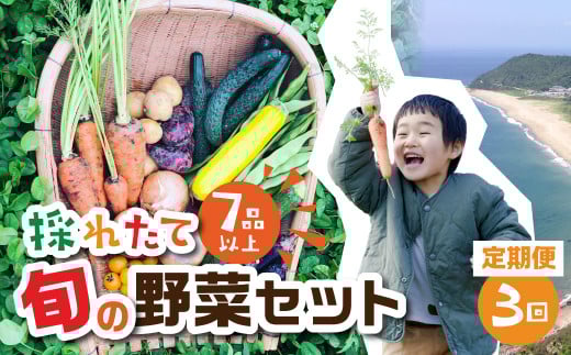 【 3回 定期便 】金賞受賞 旬彩野菜セット 旬の野菜 7品目以上 レシピ付き お届け 国産 新鮮 農薬不使用 化学肥料不使用 産地直送 こだわり野菜