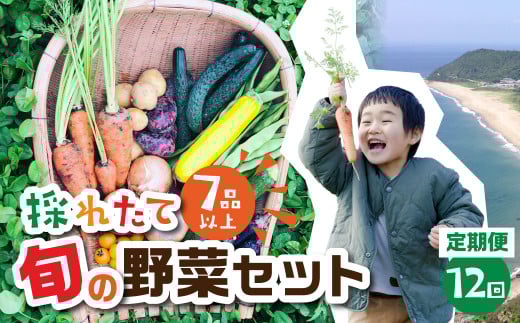 【 12回 定期便 】金賞受賞 旬彩野菜セット 旬の野菜 7品目以上 レシピ付き お届け 国産 新鮮 農薬不使用 化学肥料不使用 産地直送 こだわり野菜  12か月