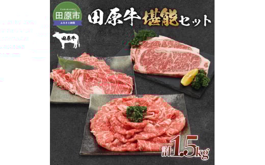 田原牛 堪能セット 牛ロース ステーキ250g×2 しゃぶしゃぶ用 500g すき焼き用 500g 牛肉 ビーフ 肩ロース ステーキ しゃぶしゃぶ お取り寄せ 牛 特産 ご当地 グルメ 国産 霜降り ふるさと納税 肉 冷凍 贅沢 和食 洋食 祝 田原市 送料無料
