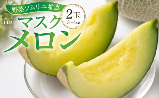 先行予約 数量限定 野菜ソムリエ 推薦 渥美半島伊良湖潮風育ち マスクメロン 2玉 2L~3L サイズ(3~4キロ) 箱入り  田原市 伊良湖産 ギフト プレゼント お取り寄せ 渥美半島 農家直送 送料無料 12000円 一万円