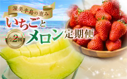 メロン・イチゴ定期便 全2回 めろん いちご 苺 果物 フルーツ 愛知県 田原市