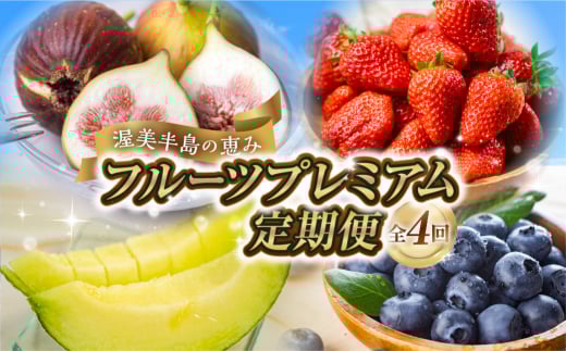 フルーツプレミアム定期便 苺 いちじく ブルーベリー メロン 無花果 めろん 果物 フルーツ 愛知県 田原市