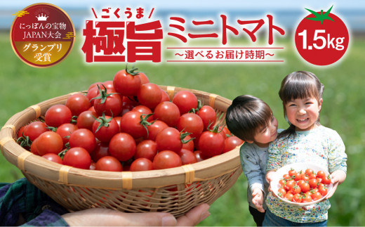 グランプリ受賞 完熟 出汁推し実 ミニトマト 1.5kg