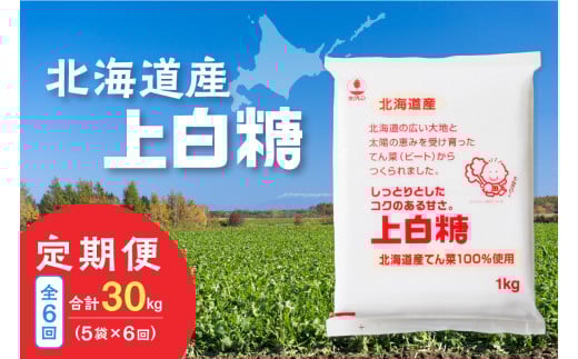 【隔月6回定期便】ホクレンの上白糖1kg×5袋_S012-0034
