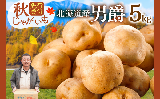 今が旬!すぐ届く!10月より発送開始!先行受付!ホクホク!しっとりなめらか! 北海道産 男爵 いも じゃがいも 男爵いも 約5kg じゃがいも いも 芋 産地直送 秋_S041-0005