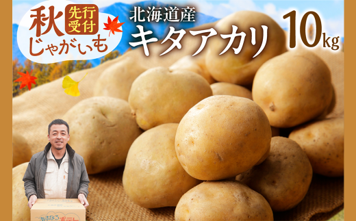 今が旬!すぐ届く!10月より発送開始!ホクホク!しっとりなめらか! 北海道産 キタアカリ いも じゃがいも きたあかり イモ 約10kg じゃがいも いも 芋 産地直送 秋_S041-0008