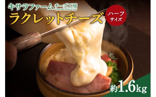 キサラファームチーズ工房のラクレット チーズハーフサイズ ！ ドリア グラタン パンに乗せて！食べ方様々、ラクレット約1.6㎏をお届け_S002-0005