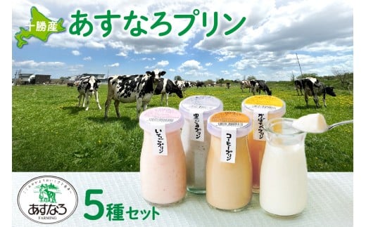 あすなろプリン5種セット90g×5個_S005-0001