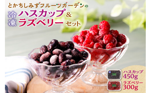 【2026年発送先行予約!】とかちしみずフルーツガーデンのハスカップ&ラズベリーセット 北海道産 ハスカップ 産地直送 果物 フルーツ 冷凍 ハスカップ 冷凍フルーツ 北海道_S009-0017