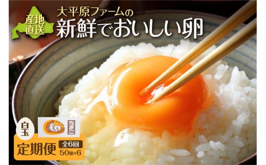 【6回定期便】大平原ファームの新鮮でおいしい卵 計50個(白卵)×6ヶ月_S035-0007