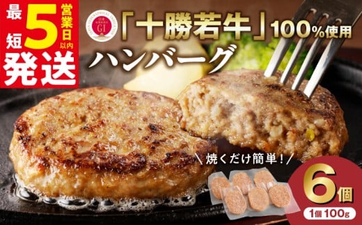 【最短5営業日以内に発送】十勝若牛100%使用!十勝 若牛 ハンバーグ 100g × 6個 国産 小分け 簡単調理 惣菜 おかず ハンバーグ お弁当 焼くだけ 牛肉 牛 肉 十勝若牛 冷凍_S003-0001