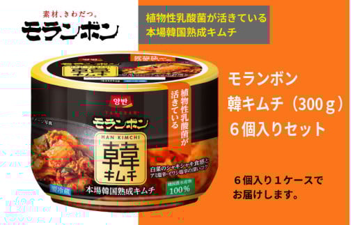 [モランボン]韓キムチ300g 6個入