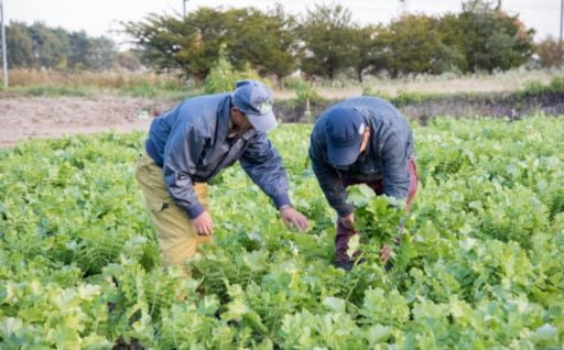 ②あつまの農業経営者育成プロジェクト