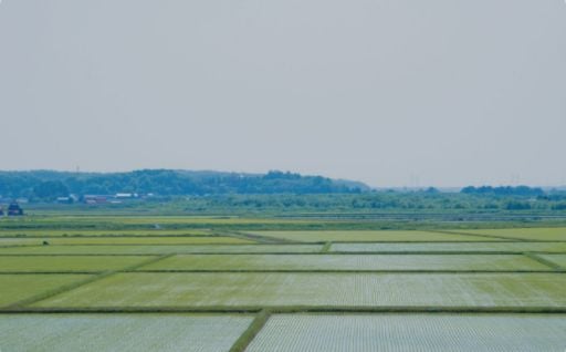 ⑥魅力あるまちづくりに活用