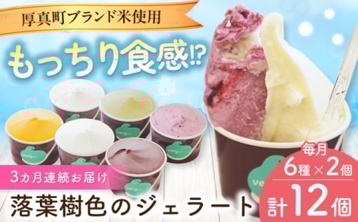 【全3回定期便】落葉樹色のジェラート6種×2セット 《厚真町》【株式会社クーバル】 ジェラート アイス セット アソート 米粉 詰め合わせ スイーツ 北海道 定期便[AXBQ033]