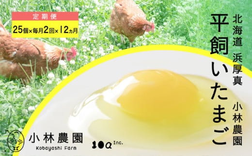 【月2回・全24回定期便】【常温配送】こだわりの無投薬･平飼い有精卵 25個《厚真町》【テンアール株式会社】 たまご 卵 鶏卵 玉子 生卵 平飼い 北海道 定期便 [AXAN040]