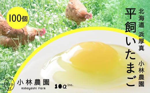 【常温配送】こだわりの無投薬･平飼い有精卵 100個《厚真町》【テンアール株式会社】 たまご 卵 鶏卵 玉子 生卵 平飼い 北海道 定期便  [AXAN122]