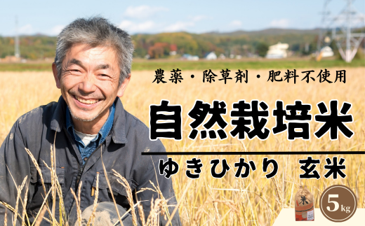 [玄米]自然栽培米 角田玄米 ゆきひかり 5kg [厚真町] [カクタファーム] 米 お米 玄米 ゆきひかり ご飯 北海道 [AXAR006]