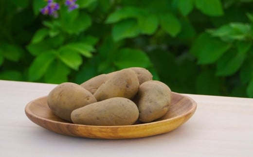 【全2回定期便】氷室熟成あつまいも（メークイン）4.5kg×1箱 《厚真町》 【株式会社伝平さんの畑】 じゃがいも ジャガイモ メークイン 芋 熟成 熟成芋 野菜 北海道 [AXAD003]