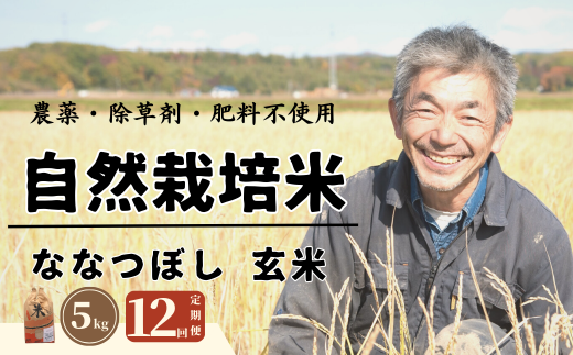 【全12回定期便】【玄米】 自然栽培米 角田玄米（ななつぼし）5kg《厚真町》【カクタファーム】 米 お米 玄米 ななつぼし ご飯 北海道 定期便 [AXAR003]