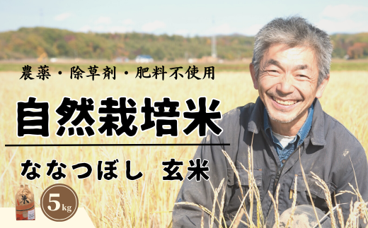 【10月下旬発送】【玄米】自然栽培米 角田玄米（ななつぼし）5kg《厚真町》【カクタファーム】 米 お米 玄米 ななつぼし ご飯 北海道 [AXAR001]