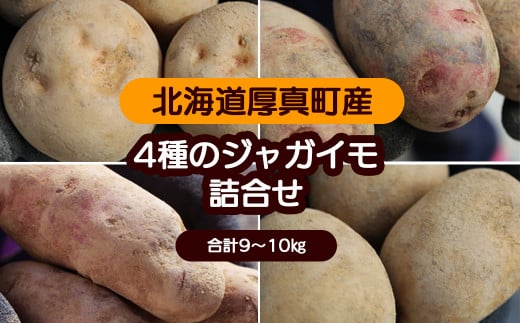 【令和6年】《数量限定》北海道厚真産・魅惑の4種類じゃがいも食べ比べセット（キタアカリ・デストロイヤー・ノーザンルビー・こがね丸）《厚真町》【山崎農園】 [AXAM001]