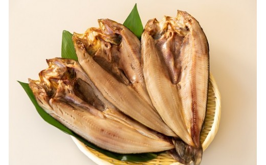 【北海道】厳選 真ほっけの開き 3枚セット《厚真町》【有限会社カネサ斉藤水産】 ほっけ ホッケ 真ほっけ 海鮮 冷凍配送 北海道 [AXAK004]