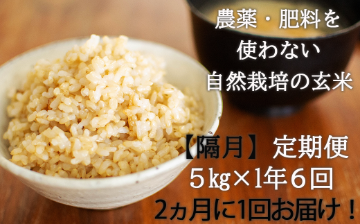 【隔月・全6回定期便】【玄米】 自然栽培米 角田玄米（ななつぼし）5kg《厚真町》【カクタファーム】 米 お米 玄米 ななつぼし ご飯 北海道 定期便 [AXAR005]