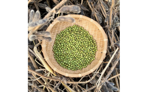 《農薬不使用》乾燥小粒青大豆（品種：黒神）《厚真町》【ekam】 大豆 豆 オーガニック 農薬不使用  有機JAS認証 青大豆 乾燥大豆 北海道 [AXBV001] 9000 9000円